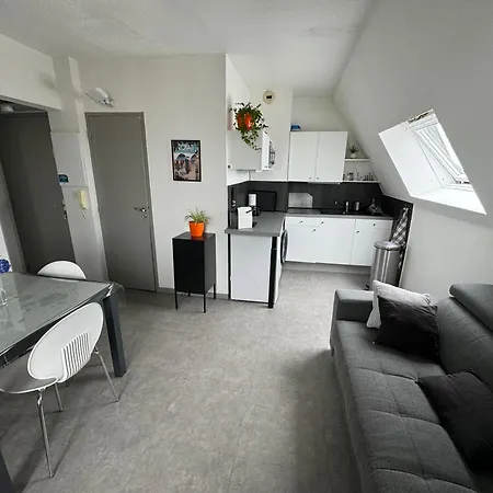 アパート La Jeanne Marcelle T2 50m *